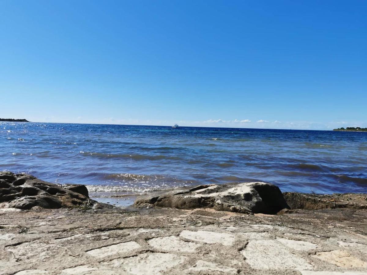 Apartment App Palcic K