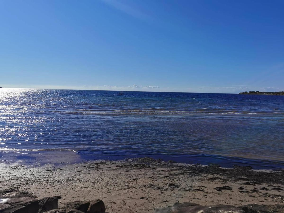 App Palcic K