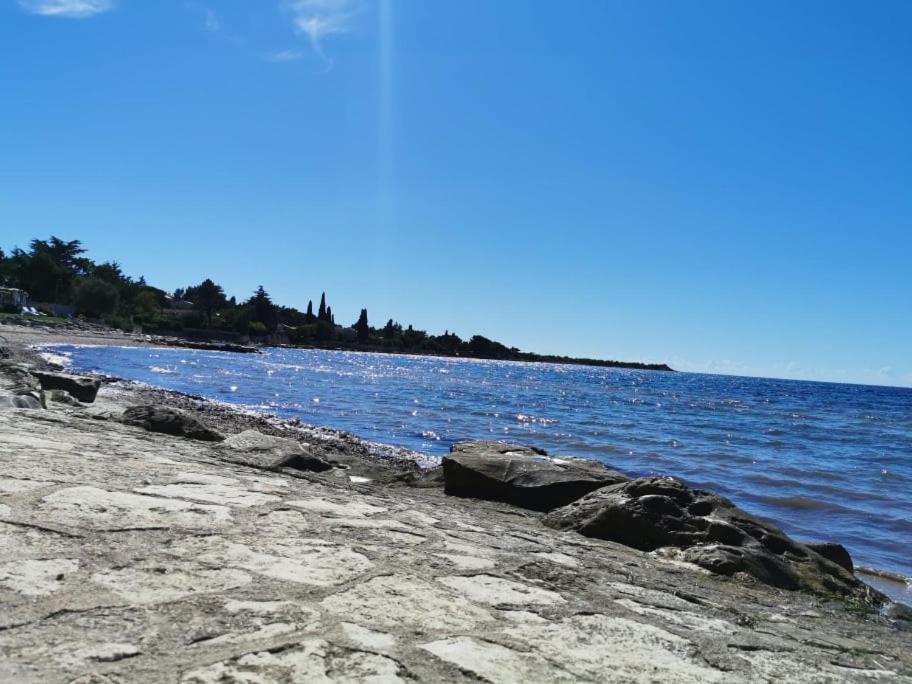 App Palcic K Novigrad Istria