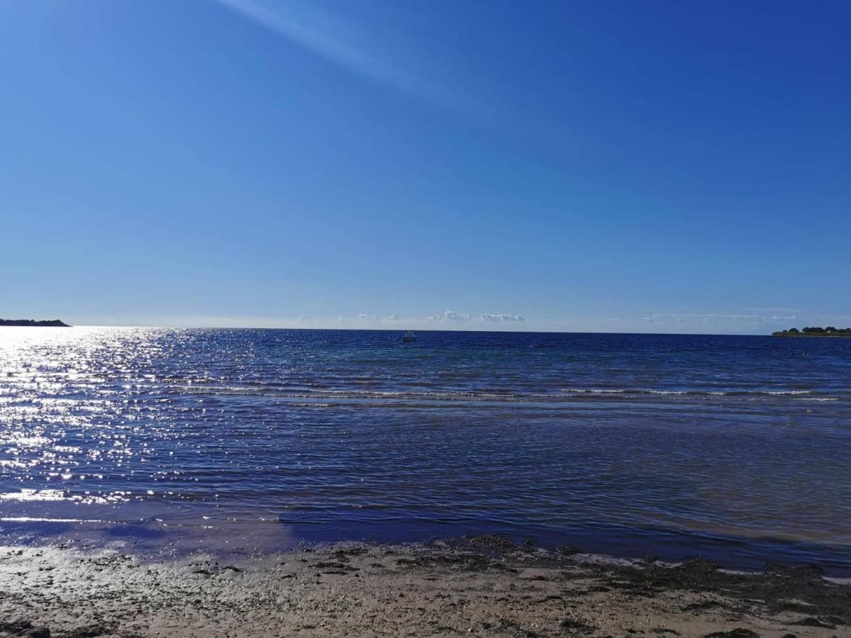App Palcic K