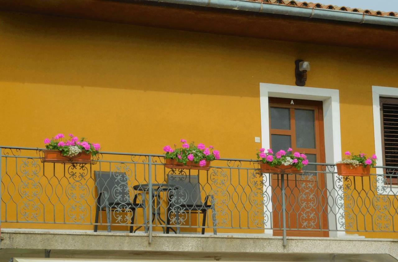 Apartment App Palcic K *